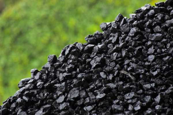 Жителям Минусинска запретили складировать уголь и дрова возле дороги