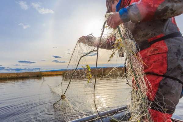 С нового года вступают в силу правила учета рыболовных сетей