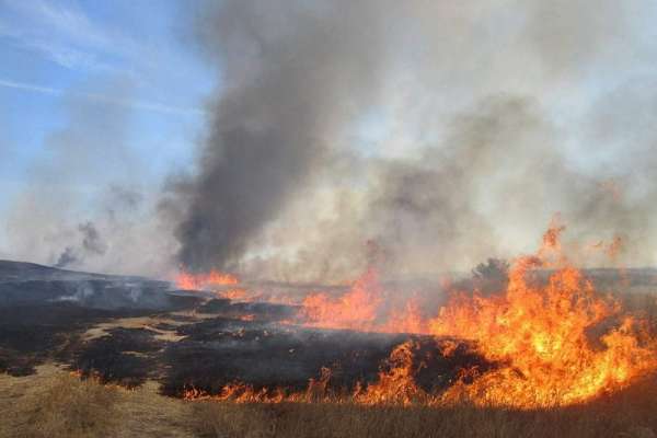 Минусинцев настоятельно просят не сжигать сухую траву