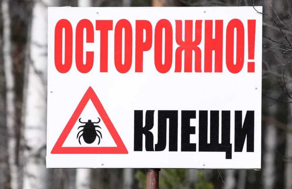 В Красноярске зафиксировали 1-ый в 2015 г. укус клеща