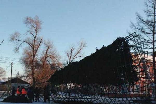 Стали известны причины падения елки в Минусинске
