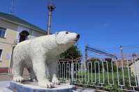 Белый медведь появился на одной из ж/д станций Красноярска