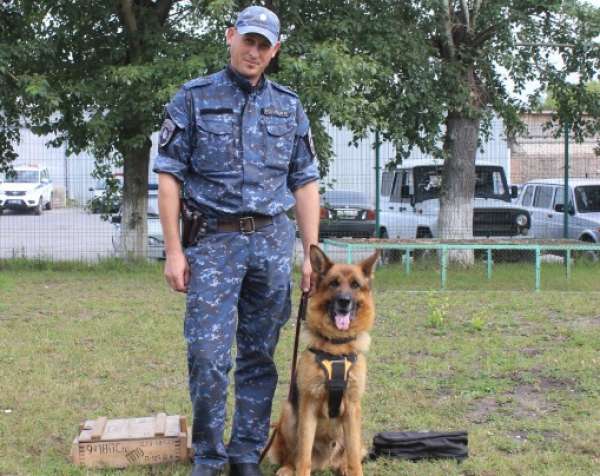 В Красноярском крае служебная собака нашла по запаху злоумышленников, укравших алкоголь