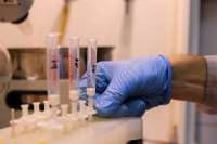 Учёные МГУ и РАН разработали экспресс-тест быстрого определения  вируса гриппа А