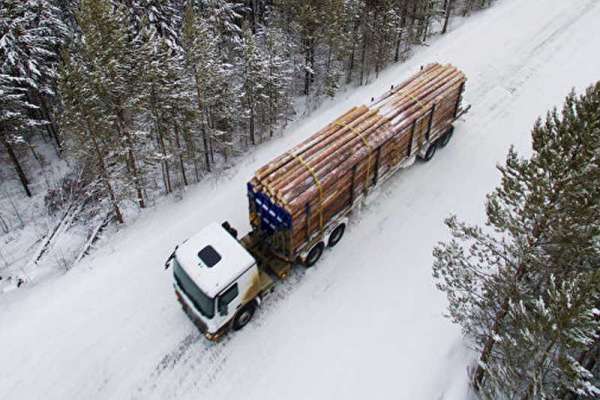 В России могут ввести эмбарго на экспорт леса
