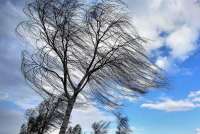 На юге края и в Хакасии ожидается усиление ветра