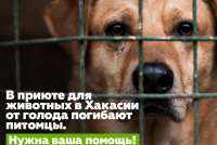 Хакасский краеведческий музей: за помощь приюту животных - бесплатные пригласительные