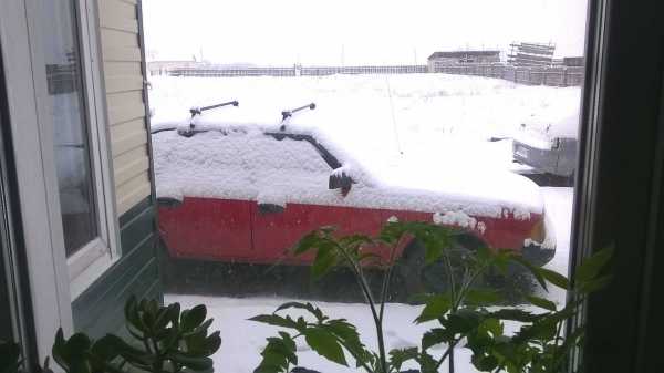 Хакасия и Красноярский край получили в День солнца ударную порцию снега