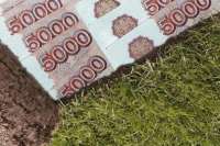 В Курагинском районе женщина незаконно завладела землей на 1,4 млн рублей