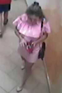 Полицейские ищут девушку в розовом платье