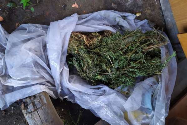 В Минусинском районе задержан местный житель с почти килограммом марихуаны