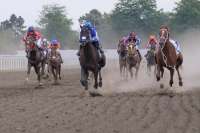 В Хакасии выявили лучших сельских конников