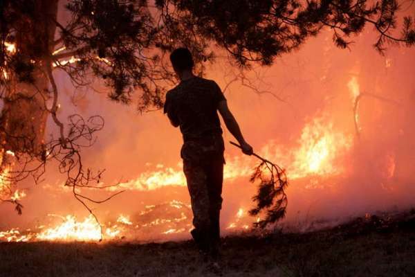 Основной причиной лесных пожаров в Сибири назван человеческий фактор