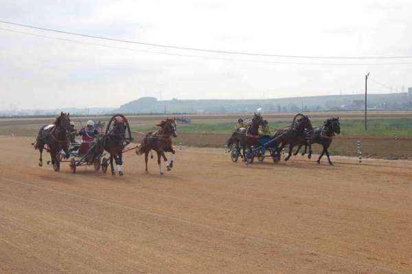Краснотуранцы победили на краевых состязаниях сельских конников