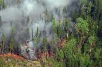 Ежедневно в Красноярском крае возникает свыше 20 лесных пожаров