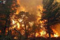 В Курагинском районе горело полгектара леса