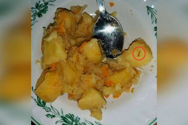 Обитателей дома-интерната в Красноярске кормят картошкой с червяками
