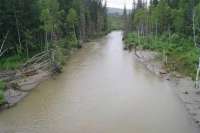 За загрязнение рек в Курагинском районе с золотодобытчиков требуют более 400 млн рублей