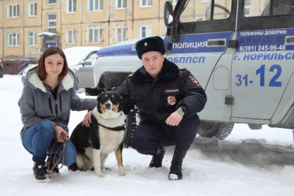 В городе-побратиме Норильске спасли собаку