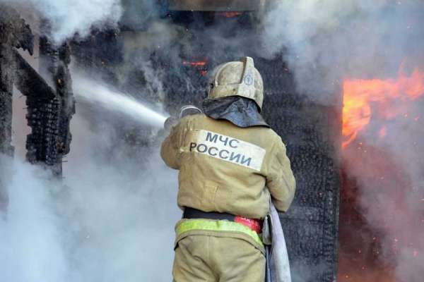 В Минусинском районе на пожарах погибли мужчина и домашний скот