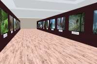 В Саяно-Шушенском заповеднике появилась виртуальная галерея