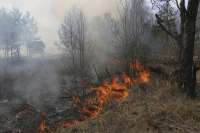 В Хакасии погода уменьшила количество пожаров