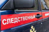 Причину пожара в Кошурниково расследует Следственный комитет