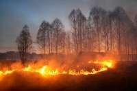 В Хакасии за сутки – 20 пожаров