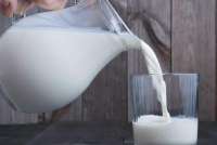 Шушенское молоко признано лучшим в крае