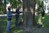 В Минусинске волонтеры перепишут все деревья