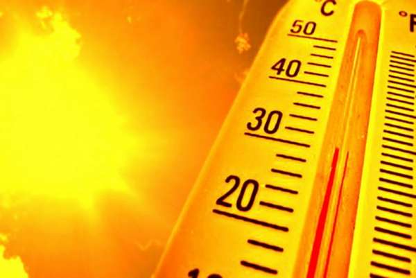 На юге края и в Хакасии ожидается аномальная жара