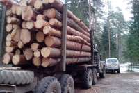 В Шушенском районе предпринимателю запретили вырубать лес