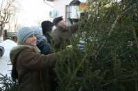 Торговлю новогодними елями в Минусинске организуют в девяти местах