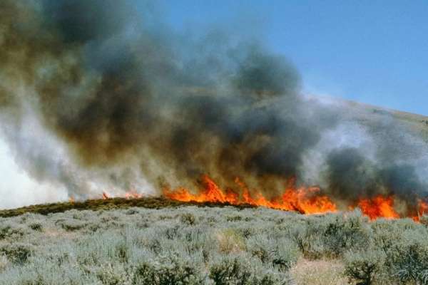В Хакасии горит степь в Усть-Абаканском районе