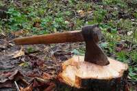 В Хакасии завели уголовное дело по факту незаконной рубки леса