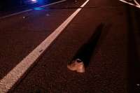 В Туве неизвестный водитель насмерть сбил пешехода