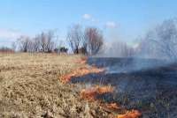 Минусинские пожарные четыре раза выезжали на пал травы