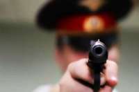 В Черногорске полицейский пристрелил взбесившуюся собаку