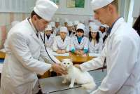 В Хакасском госуниверситете появится аспирантура ветеринарной  хирургии