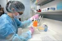 В Хакасии за сутки выявили 26 больных коронавирусом