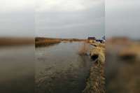 В Красноярском крае в водоеме утонула 5-летняя девочка