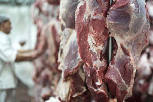 В Хакасии на предприятии по переработке свинины не обнаружили вирус АЧС