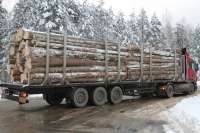 В Идринском районе задержана машина с нелегальным лесоматериалом