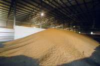 В Красноярском крае работники умудрились украсть с собственного предприятия 30 тонн зерна
