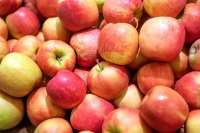 В Красноярске сняли с продажи более 800 кг яблок без документов