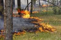 В Шушенском и Ермаковском районах горят леса