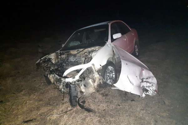 В Курагинском районе дерево стало причиной смерти водителя