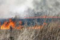В Хакасии к большинству пожаров привело неосторожное обращение с огнем