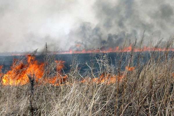 В Хакасии к большинству пожаров привело неосторожное обращение с огнем