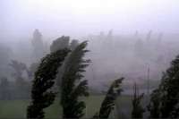 Сегодня на юге края и в Хакасии вероятны сильные дожди, шквалистый ветер, грозы и град